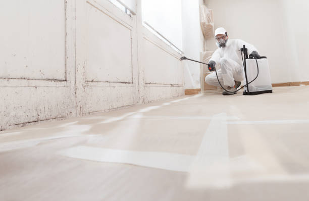 24/7 Emergency Mold Remediation experts in South Pasadena, FL