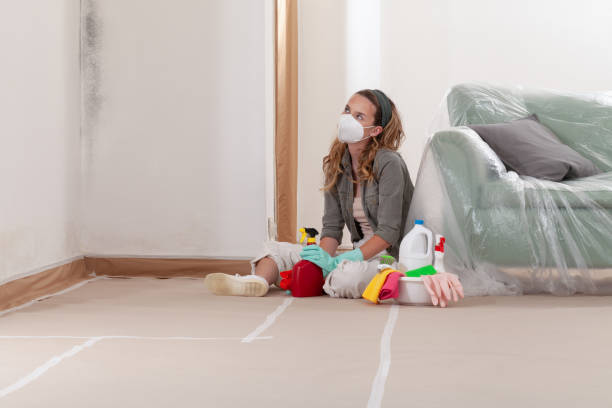 Reliable Mold Remediation contractor in South Pasadena, FL by 24 Hour Mold Removal